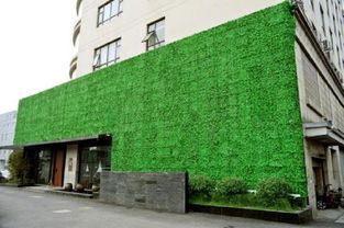 上海仿真植物墙